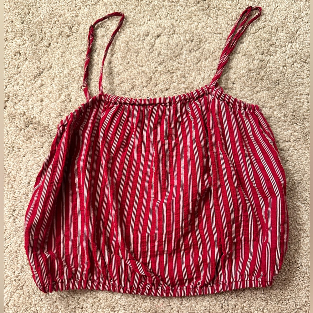 American Eagle Crop Top